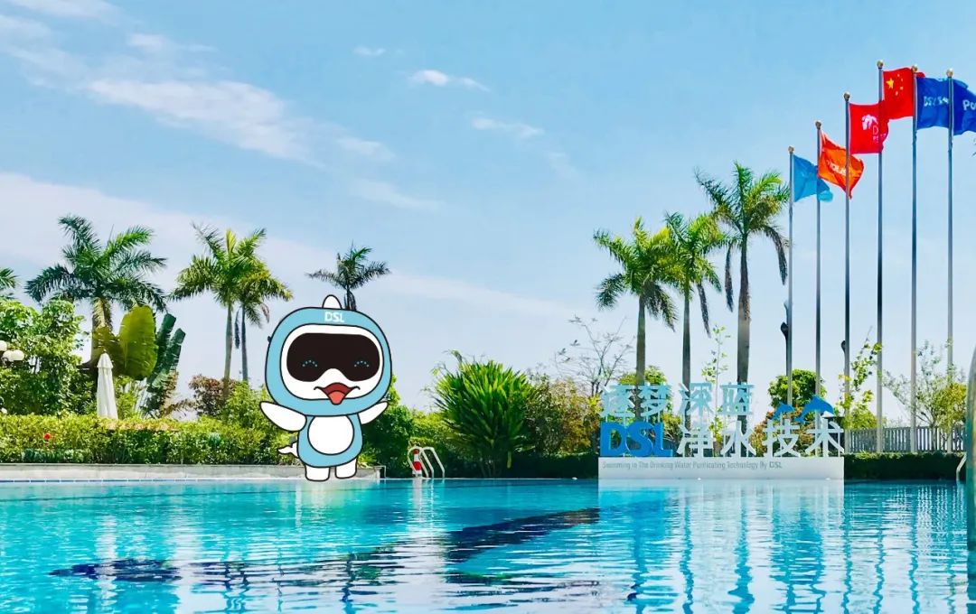 <b>Ӿ��ˮ�������׵����أ�������������Ӿ��ˮ�����أ�������������</b>