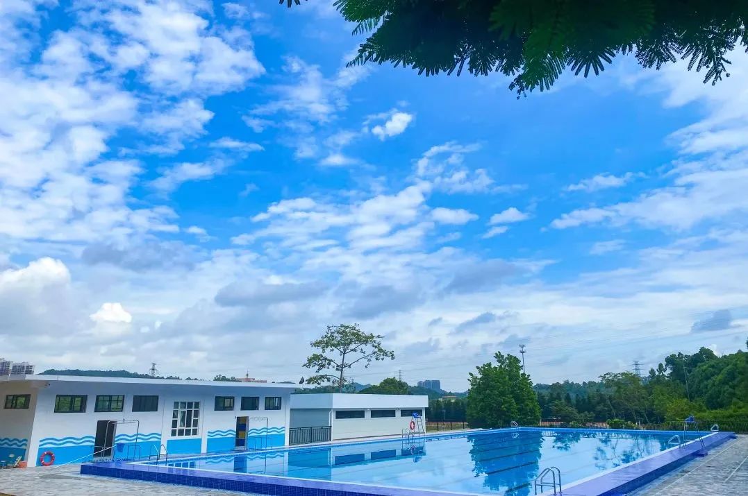 97����-����Ʒ��,Դ������