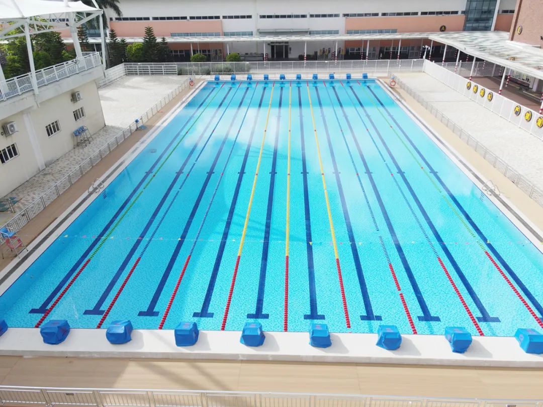 ѧУ��Ӿ������,ѧУ��Ӿ��ˢ��,ѧУӾ��ˢ��