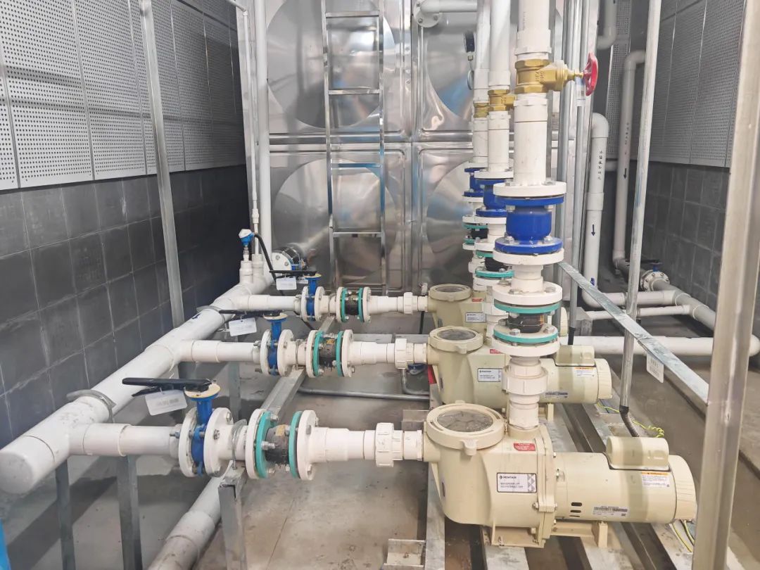 97����-����Ʒ��,Դ������