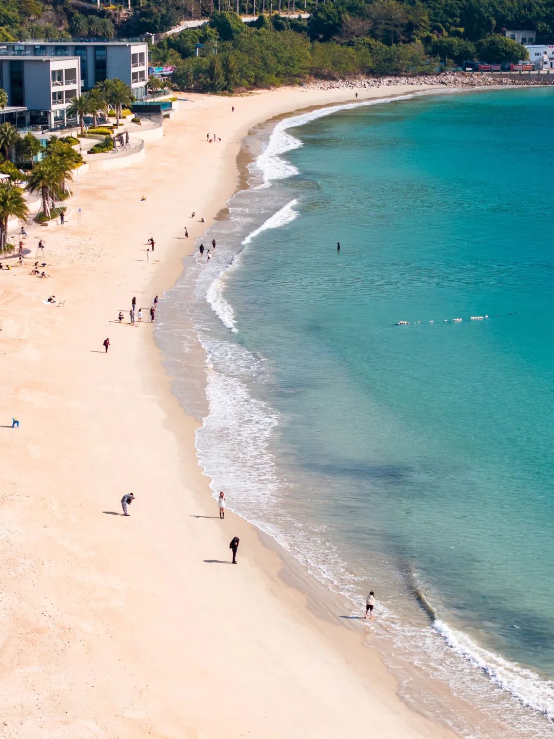 97����-����Ʒ��,Դ������