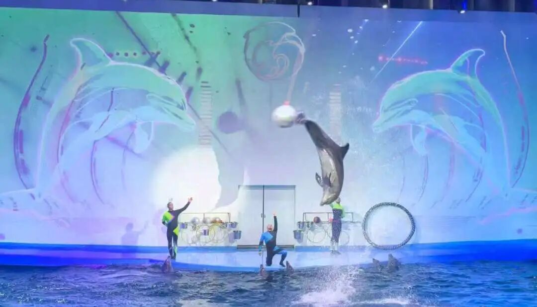 97����-����Ʒ��,Դ������