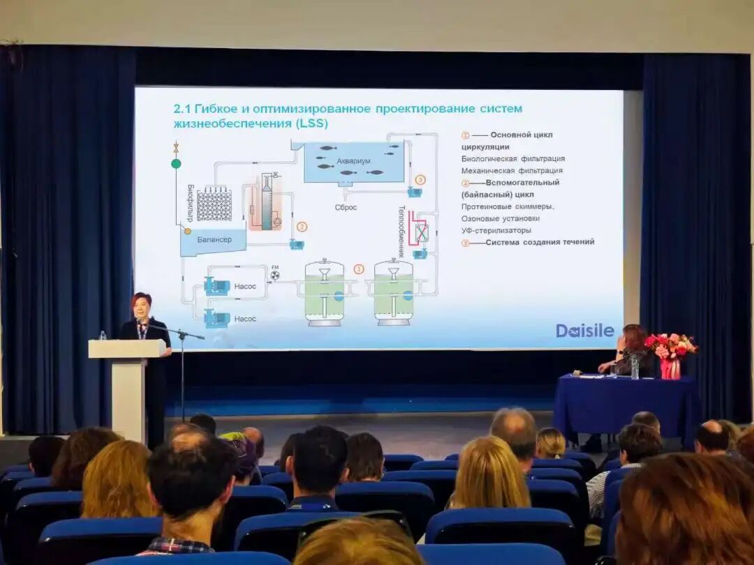 97����-����Ʒ��,Դ������