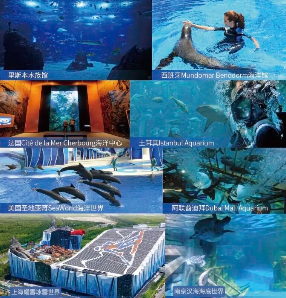 97����-����Ʒ��,Դ������