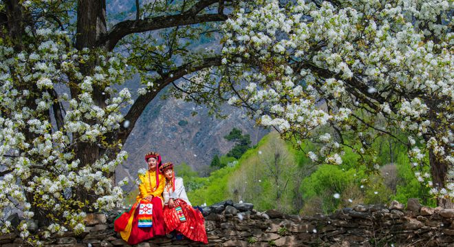 “花开丹巴·为梨而来”抖音短视频大赛今日启动赏藏寨梨花赢万元大奖(图3)